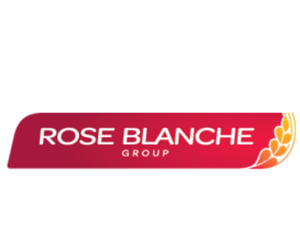 logo rose blanche 1